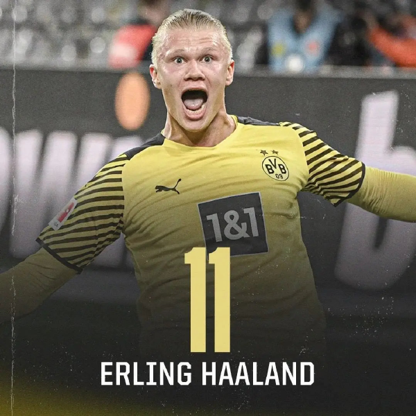 续冲击护筐 续冲击护筐