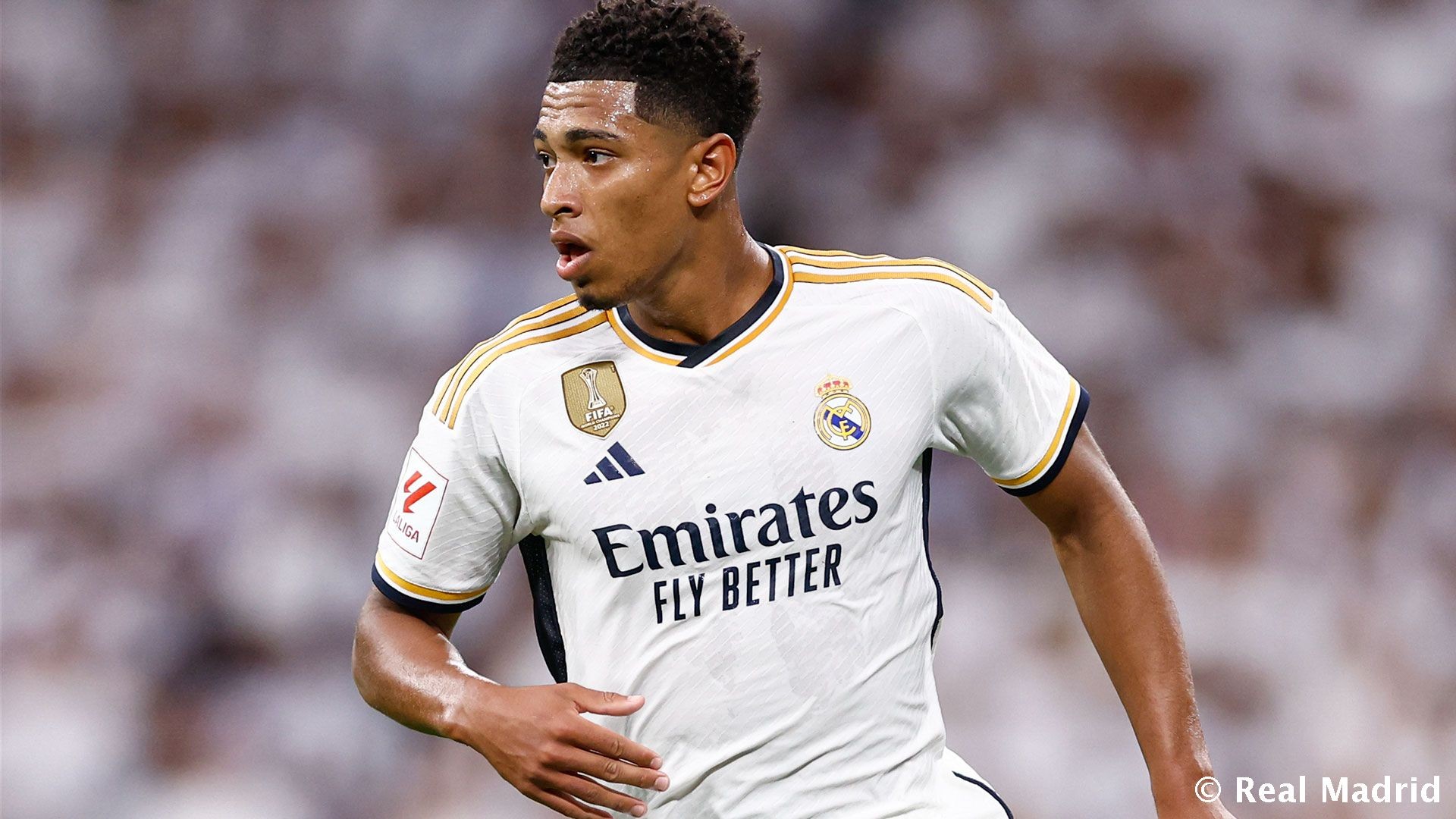 莱比锡主场 莱比锡主场